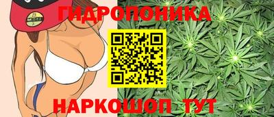 MESCALINE Новодвинск